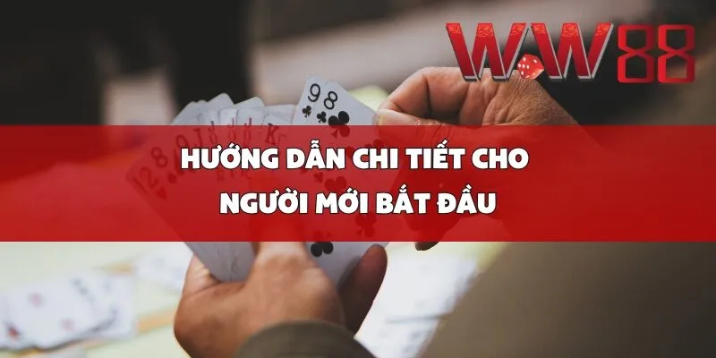 Hướng dẫn chi tiết cho người mới bắt đầu
